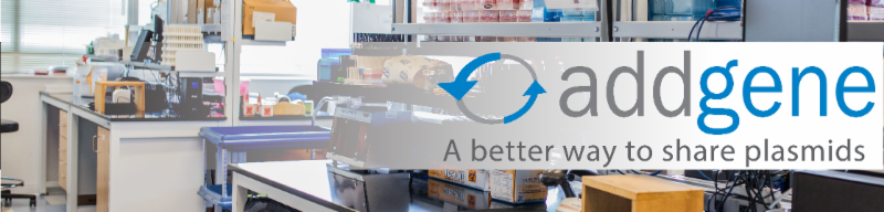 Addgene BSL1 Lab